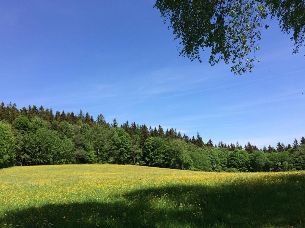 Ferienwohnung Gut Eschlsaign Arrach Exteriér fotografie
